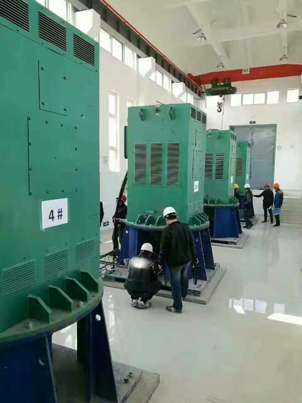 鄂州某污水处理厂使用我厂的立式高压电机安装现场