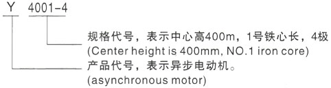 西安泰富西玛Y系列(H355-1000)高压鄂州三相异步电机型号说明